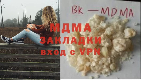 бошки Белокуриха